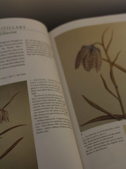 vintage book how to draw wildflowers